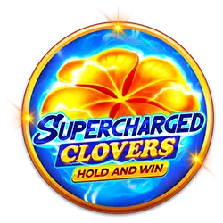 video slots how to bet on dubai world cup